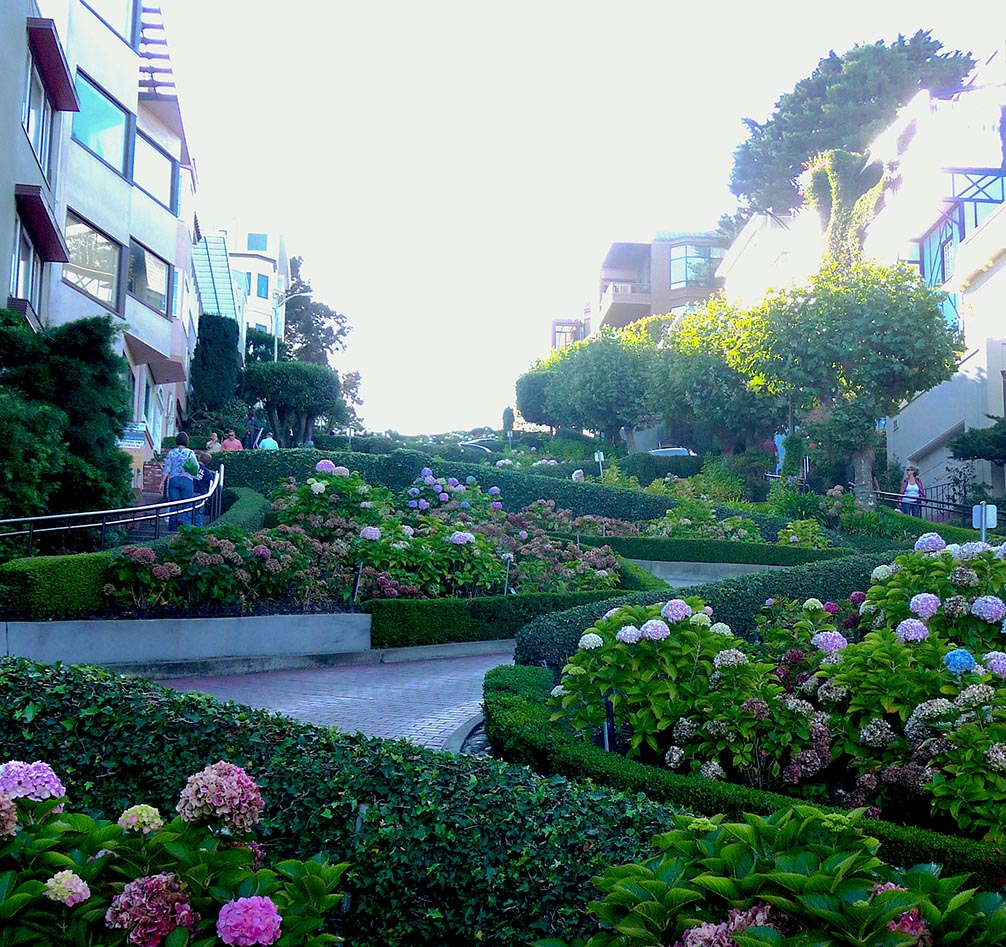 Twists and turns of Lombard St