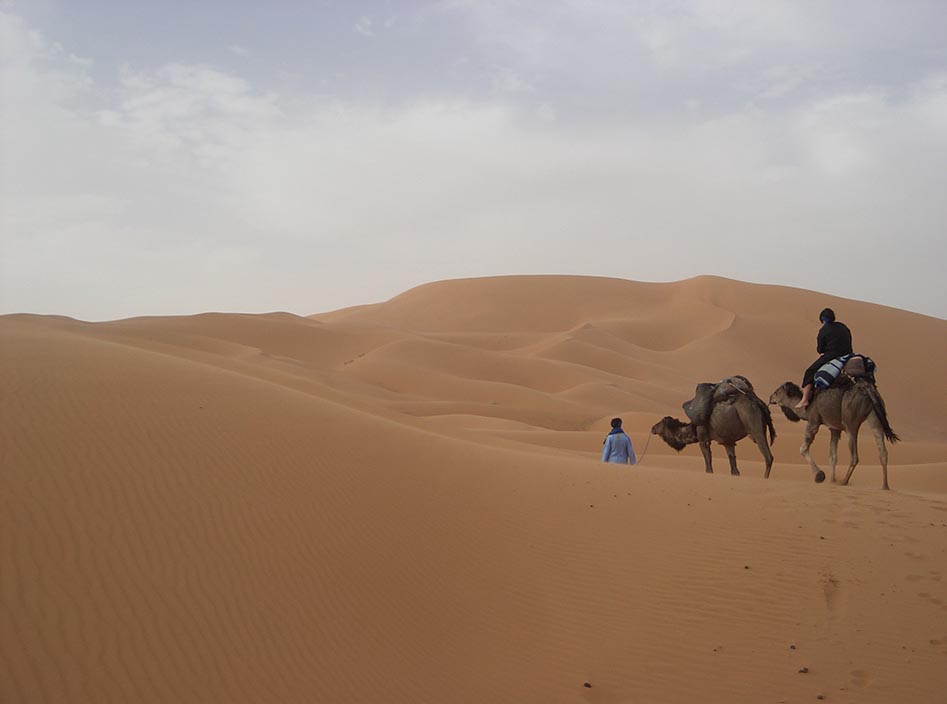 Berber guide leading the camel train into the desert