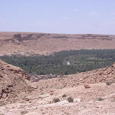 morocco oasis