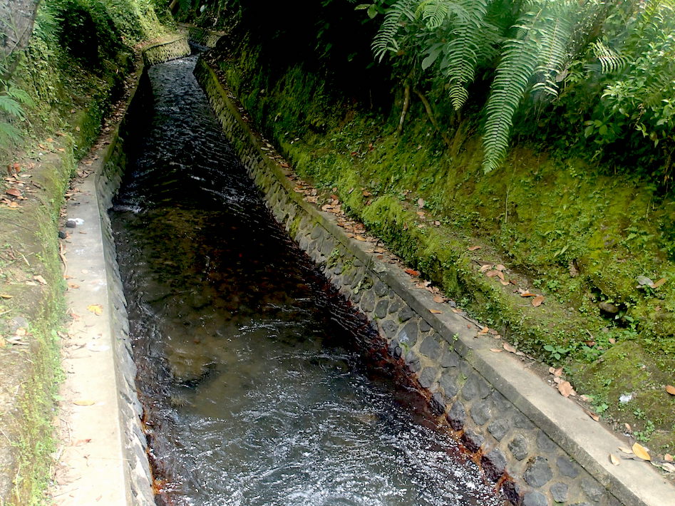 Subak irrigation channel